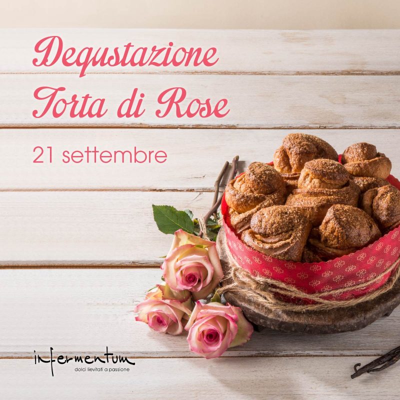 Materiale digital Focus_IG POST